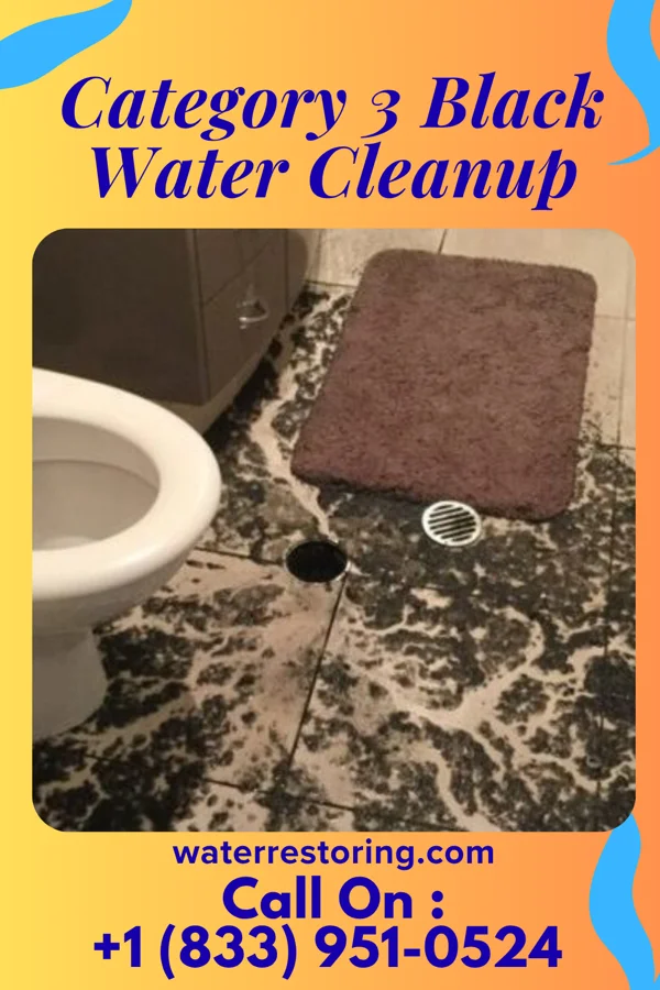 Category 3 Black Water Cleanup in Oakland, IA